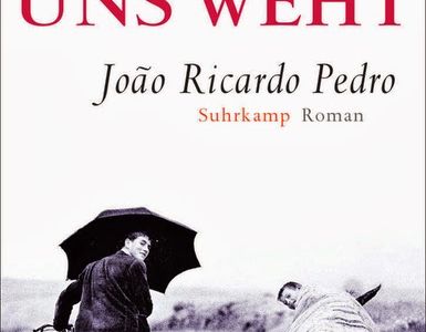 Wohin der Wind uns weht -  Roman von João Ricardo Pedro