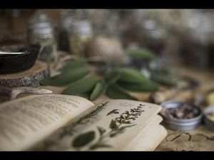 Baeuerin Jutta Tappeiner vom Bacherhof in Nals Suedtirol kennt allerlei natuerliche Rezepturen fuer die Gesundheit Baeuerin Jutta Tappeiner vom Bacherhof in Nals Suedtirol kennt allerlei natuerliche Rezepturen fuer die Gesundheit