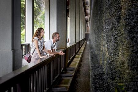 Seit 1912 atmen Bad-Reichenhall-Besucher am Gradierhaus im Königlichen Kurgarten den Dampf von hochkonzentrierter, 26-prozentiger Alpensole ein. Mit 160 Metern Länge und 13 Metern Höhe gilt es als größtes Freiluftinhalatorium der Welt