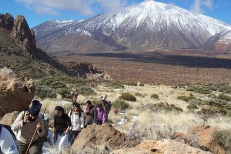 Wandern auf Teneriffa