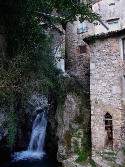 Urlaub-im-Olivenhain Lombricese