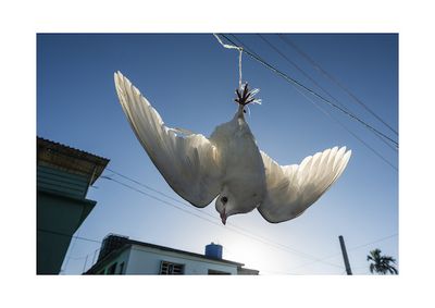 Die Riten der Abakuá Anhaenger ist die einzige afro-cubanische Religionsvariante