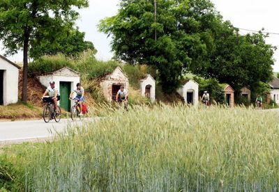 Brot und Wein Im Weinviertel Radfahren Wandern und Familienurlaub