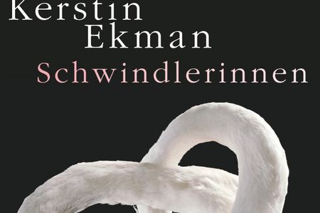 "Schwindlerinnen" - Auf genauso paradoxe wie beflügelnde Weise schreibt Kerstin Ekman von der Schizophrenie des Schriftstellerdaseins