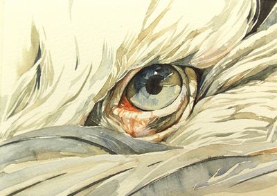 Yun Nam ausstellung bochum Yun Nam ausstellung bochum
