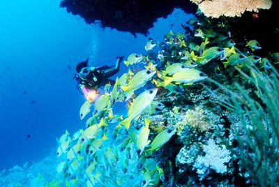 Reisen The Residence Maledives Riff Reisen The Residence Maledives Riff