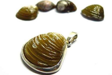 Stil Schmuck aus Elbmuscheln