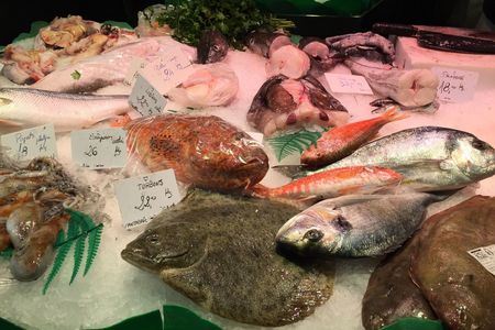Elektrisches Fischen ist zerstoererisch, und selbst China und die meisten Fischerei-Nationen auf der Welt haben es verboten