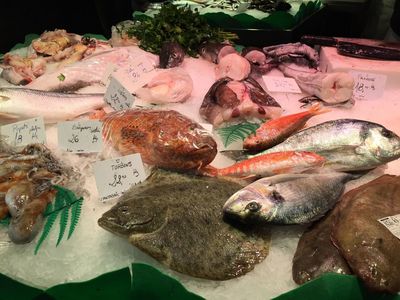 Elektrisches Fischen ist zerstoererisch, und selbst China und die meisten Fischerei-Nationen auf der Welt haben es verboten