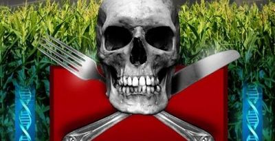 Glyphosat ist mit Sicherheit krebserregend