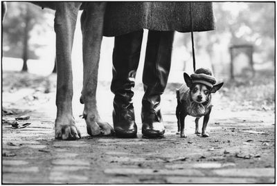 ausstellung in köln elliot erwitt