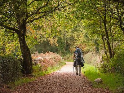 Selten sieht man so viele offene ,freudige Gesichter, wie hier und man spuert die grosse geistige Freiheit auf dem Jakobsweg