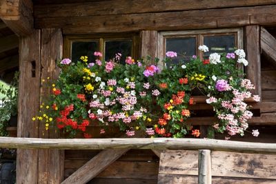 Wandern in Bad Wildbad und im Enztal Wandern in Bad Wildbad und im Enztal