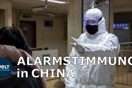 Der Titel des Dokumentarromanes lautet Wuhan