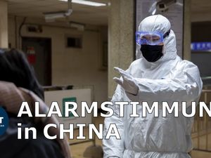Der Titel des Dokumentarromanes lautet Wuhan Der Titel des Dokumentarromanes lautet Wuhan