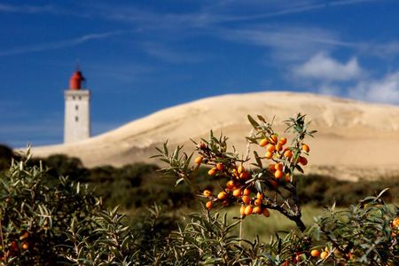 Lønstrup an der Nordwestküste Juetlands ist so fein, klein und beschaulich, und hat keinen eigenen Eintrag bei der deutschsprachigen Wikipedia, was auch ein Vorteil ist
