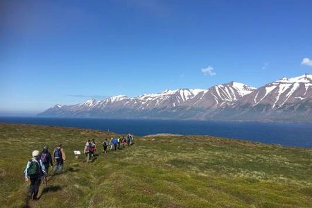 Mit dem oesterreichischen Reiseveranstalter Indigourlaub koennen Reisende Yoga an magischen Orten Islands ueben