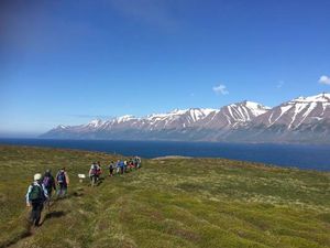 Mit dem oesterreichischen Reiseveranstalter Indigourlaub koennen Reisende Yoga an magischen Orten Islands ueben Mit dem oesterreichischen Reiseveranstalter Indigourlaub koennen Reisende Yoga an magischen Orten Islands ueben
