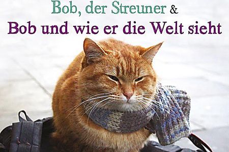 Weltbestseller Bob und wie er die Welt sieht