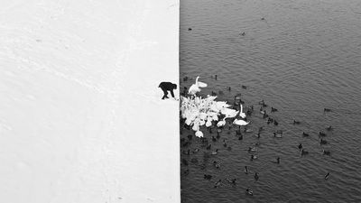 marcin ryczek salzburg ausstellung
