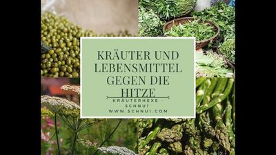 Viele halten es kaum für möglich, aber auch Pflanzen und Kräuter kann man einsetzen, um sich selbst abzukühlen