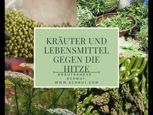 Viele halten es kaum für möglich, aber auch Pflanzen und Kräuter kann man einsetzen, um sich selbst abzukühlen Viele halten es kaum für möglich, aber auch Pflanzen und Kräuter kann man einsetzen, um sich selbst abzukühlen