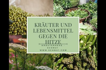 Viele halten es kaum für möglich, aber auch Pflanzen und Kräuter kann man einsetzen, um sich selbst abzukühlen