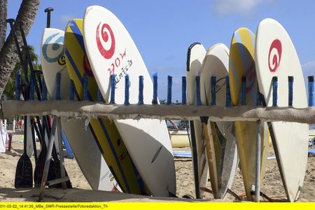 Waikiki. Sehnsucht nach Hawaii - Reisedokumentation