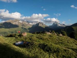 Tiroler Rind oder Vorarlberger Kuh? Schwer zu sagen – am Berggeistweg nahe St. Anton am Arlberg bewegen sich Urlauber grenzueberschreitend Tiroler Rind oder Vorarlberger Kuh? Schwer zu sagen – am Berggeistweg nahe St. Anton am Arlberg bewegen sich Urlauber grenzueberschreitend