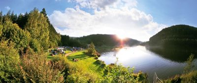 Sound of the Forest findet im August 2013 statt