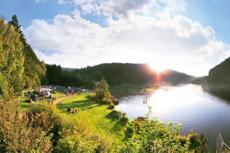 Sound of the Forest findet im August 2013 statt