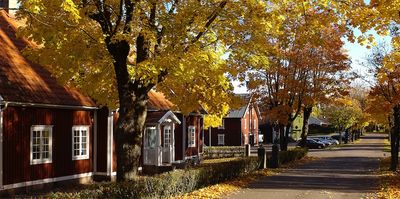 Herbst in Pukeberg