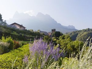 Das Wissen um die Südtiroler Kräuterarten wird auf den Bauernhöfen der Marke „Roter Hahn“ über Generationen weitergegeben Das Wissen um die Südtiroler Kräuterarten wird auf den Bauernhöfen der Marke „Roter Hahn“ über Generationen weitergegeben
