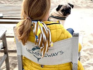 Unser Redaktions Mops Adele kommt aus einer deutschen Zucht, und ist gerne mit Frauchen am Strand Unser Redaktions Mops Adele kommt aus einer deutschen Zucht, und ist gerne mit Frauchen am Strand