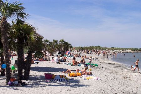 Palmenstrand Frederikshavn
