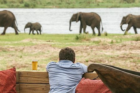 Reisen Wilderness Safaris Elefanten