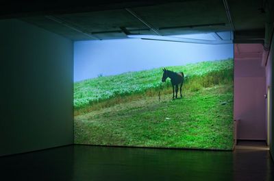 ausstellung kunsthalle duesseldorf