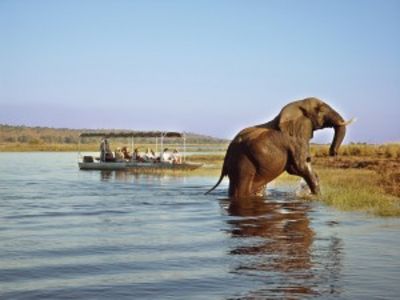 Reise zum Okavango Delta