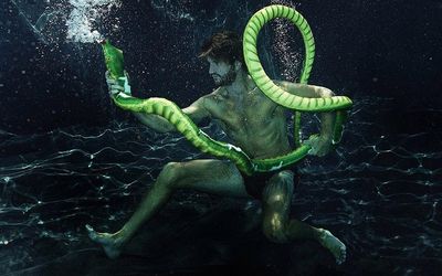 Le destin de Laocoon von Gaby Fey