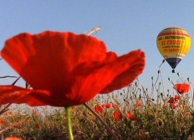 Heissluftballon über Mallorca