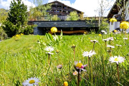 Im Tiroler Tannheimer Tal gelegen, befindet sich das Hotel Jungbrunn in einer Region mit mehr als 700 zum Teil seltenen Pflanzenarten wie den „Big Five“ Enzian, Frauenschuh, Alpenrose, Edelweiß und Arnika