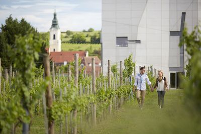 Essen und Trinken LOISIUM Wine Spa Resorts Weingarten