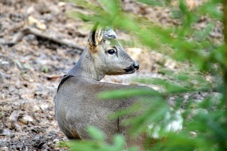Reisen Wilde Wochen im Fichtelgebirge