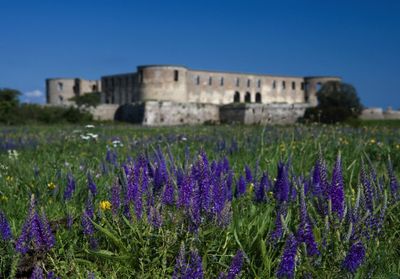Reisen Oeland Schweden Borgholms Schloss