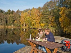 Wandern, Tiere beobachten oder die Herbstsonne genießen zum Indian Summer zeigt sich die Mecklenburgische Seenplatte besonders reizvoll Wandern, Tiere beobachten oder die Herbstsonne genießen zum Indian Summer zeigt sich die Mecklenburgische Seenplatte besonders reizvoll
