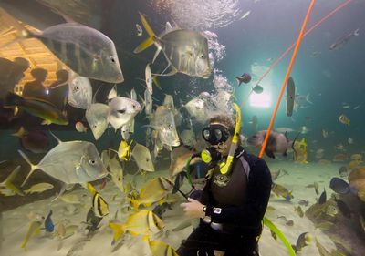 Reisen Florida Keys Aquarium Encounters