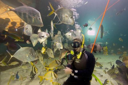 Reisen Florida Keys Aquarium Encounters