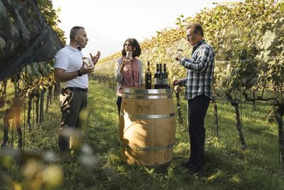 Urlauber genießen in den Tessiner Weinbergen und -kellern sorgfältig ausgewählte Degustationen der Winzer
