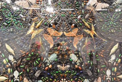 Daemon Damien Hirst schockte uns mit einem Werk indem er tote Tiere verewigt