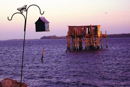 Reise nach Florida